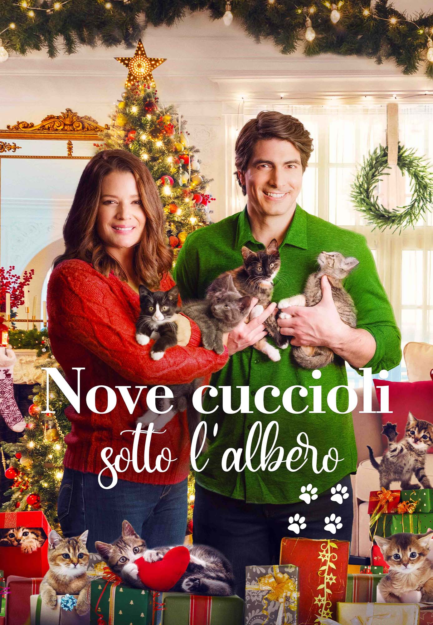 Immagine di Nove cuccioli sotto l'albero