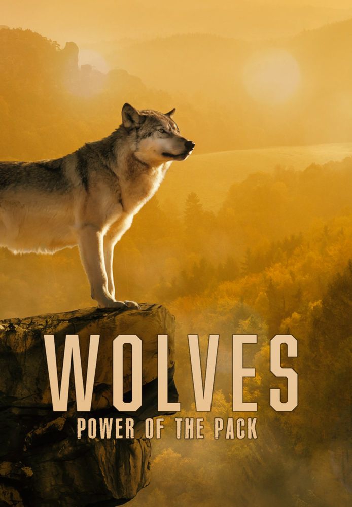 Wolves: Power Of The Pack