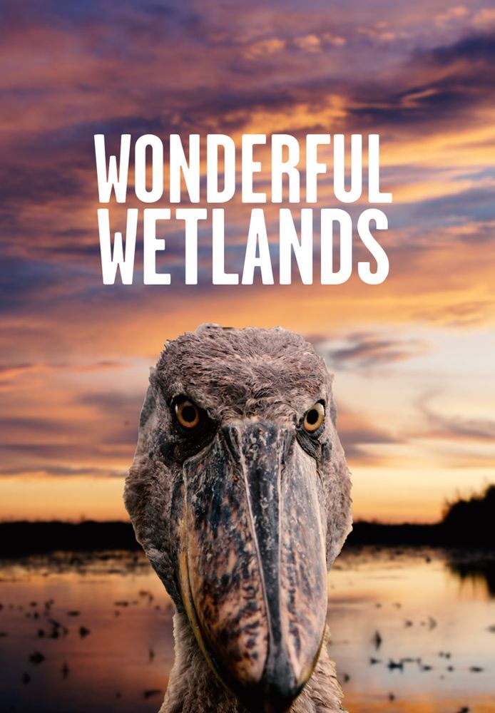 Wonderful Wetlands