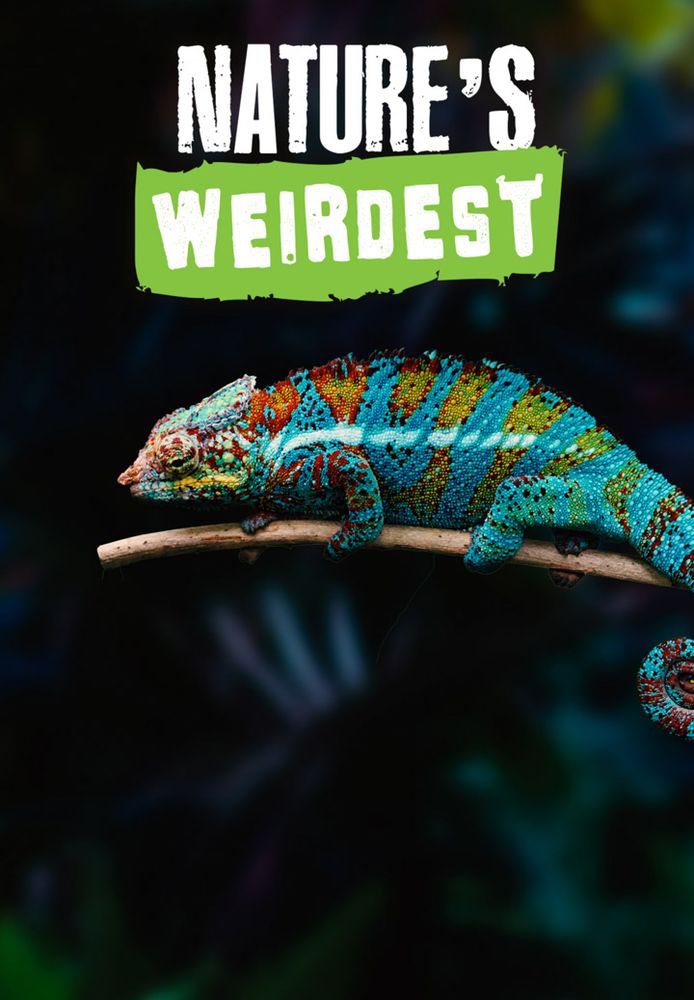 Nature’s Weirdest