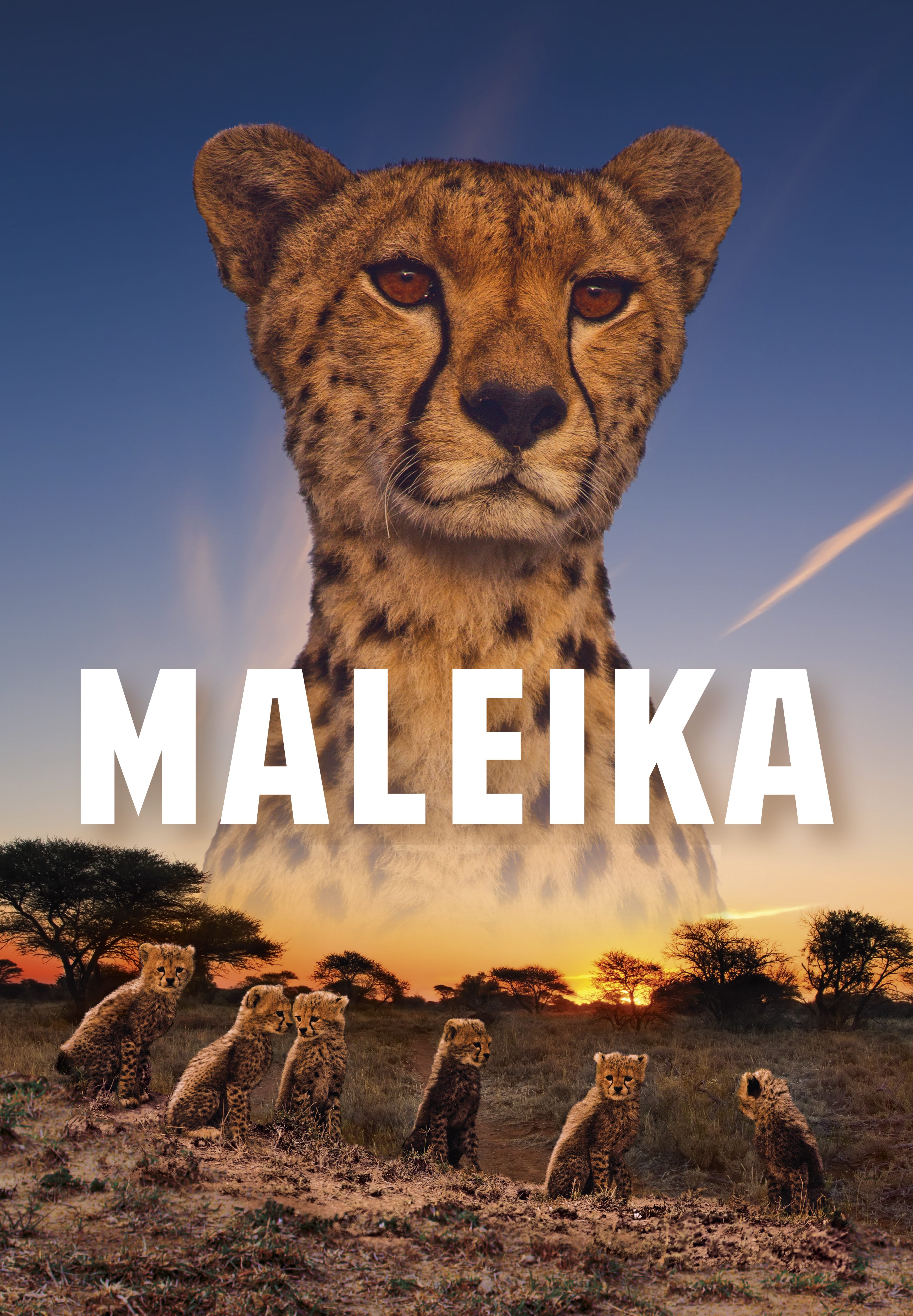 Maleika