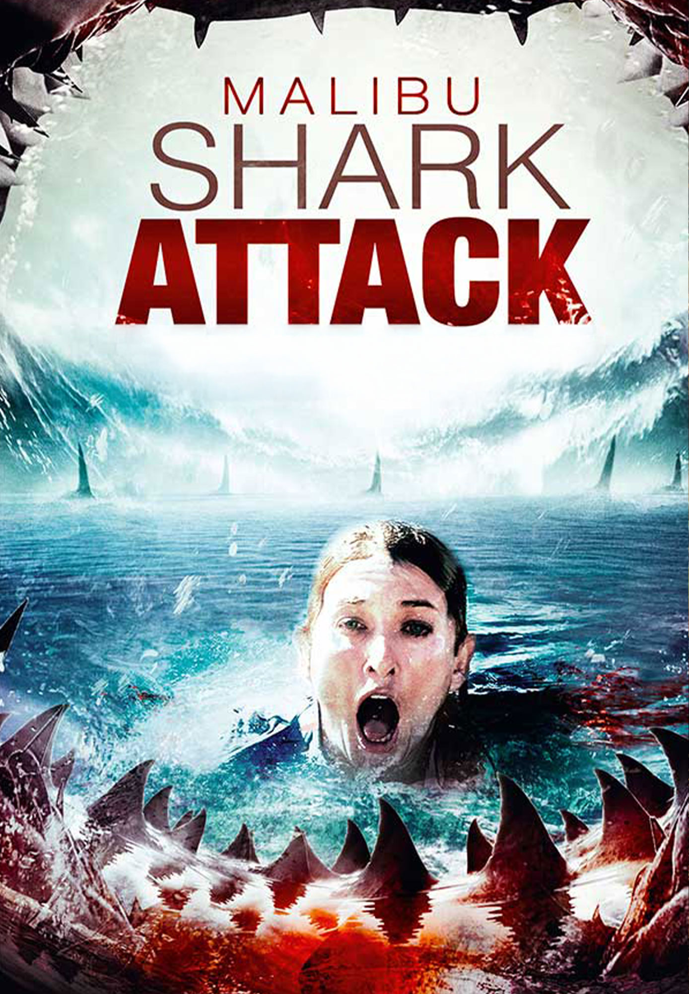 Malibu Shark Attack