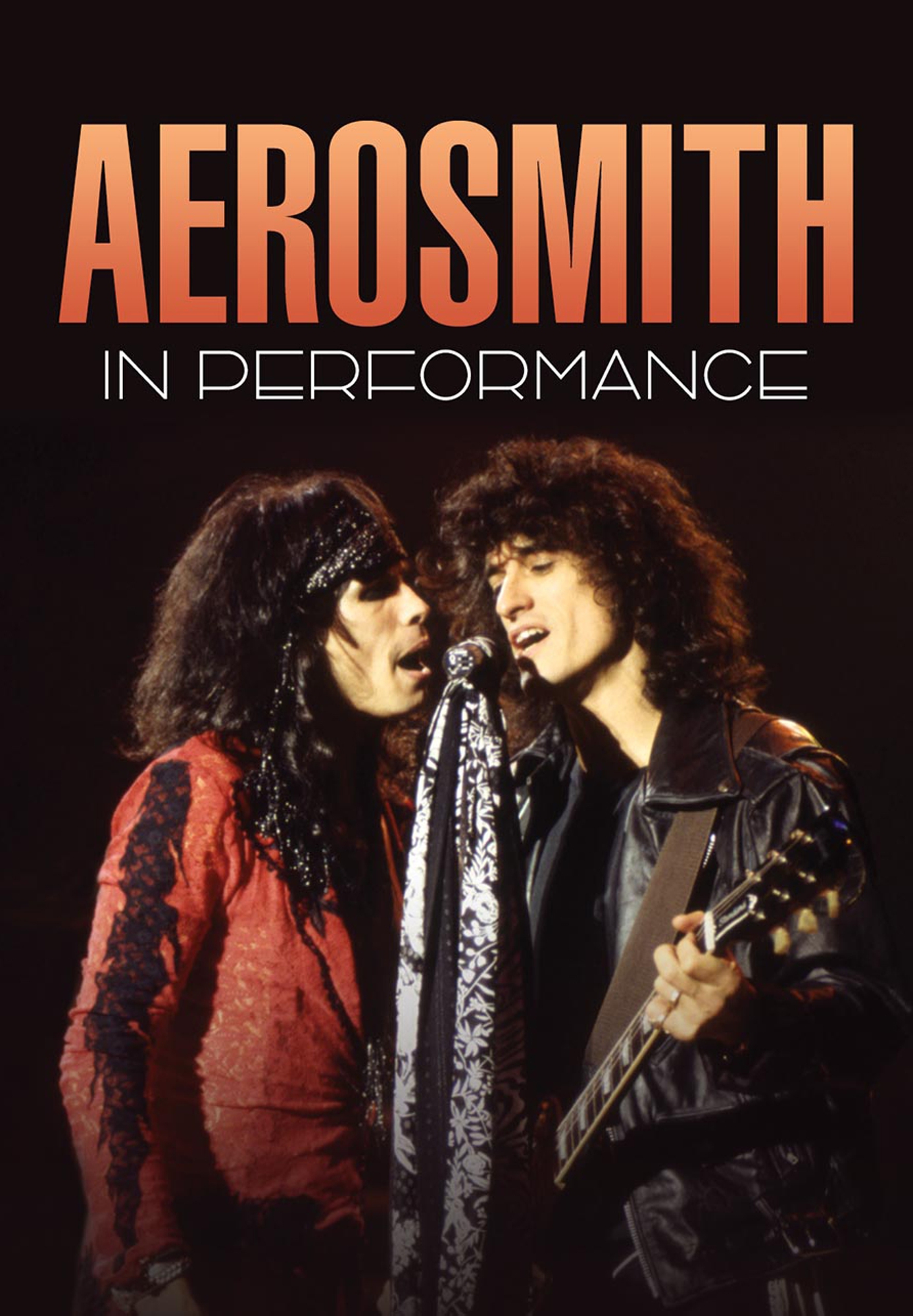 Aerosmith: In Performance