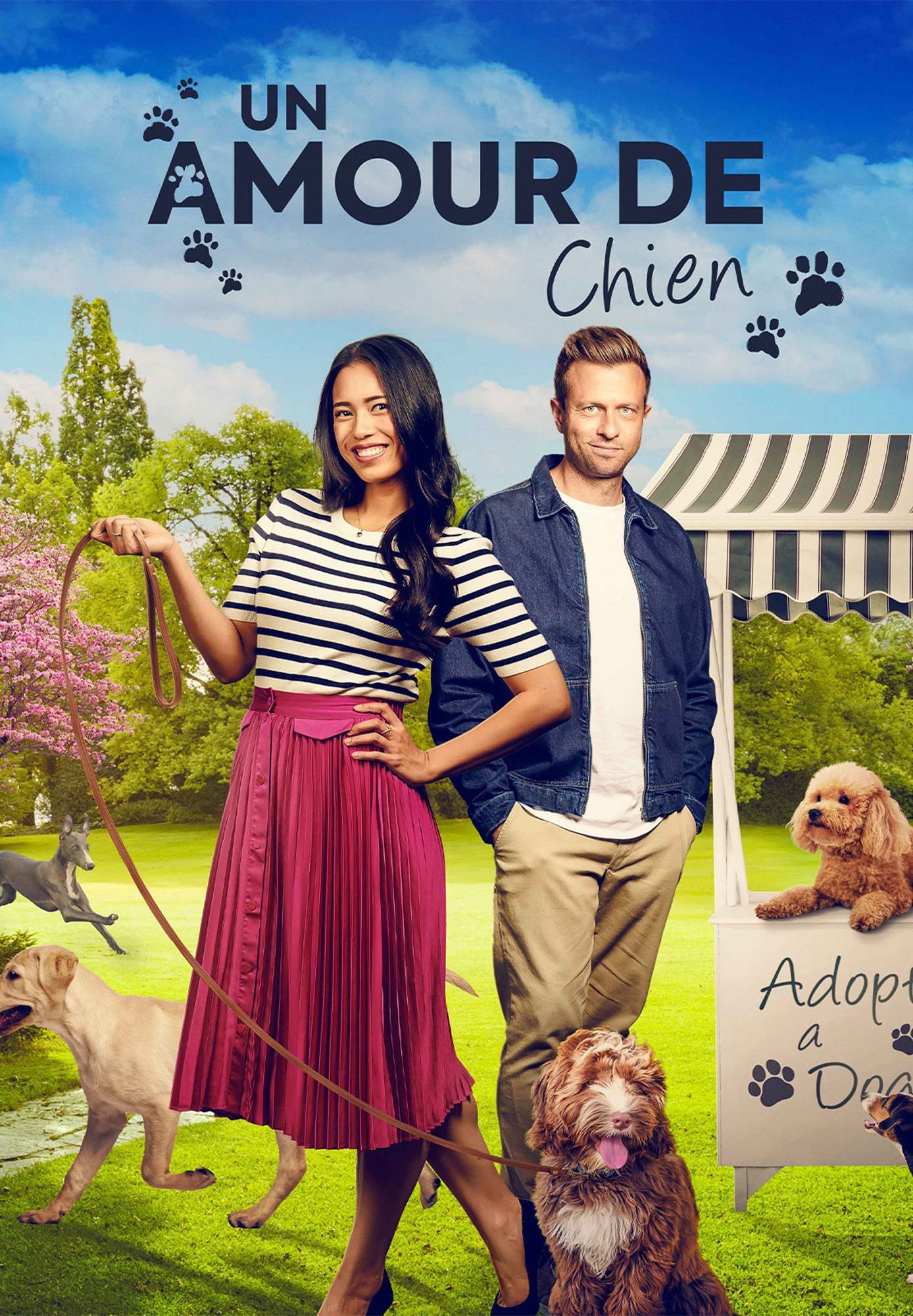 Un amour de chien