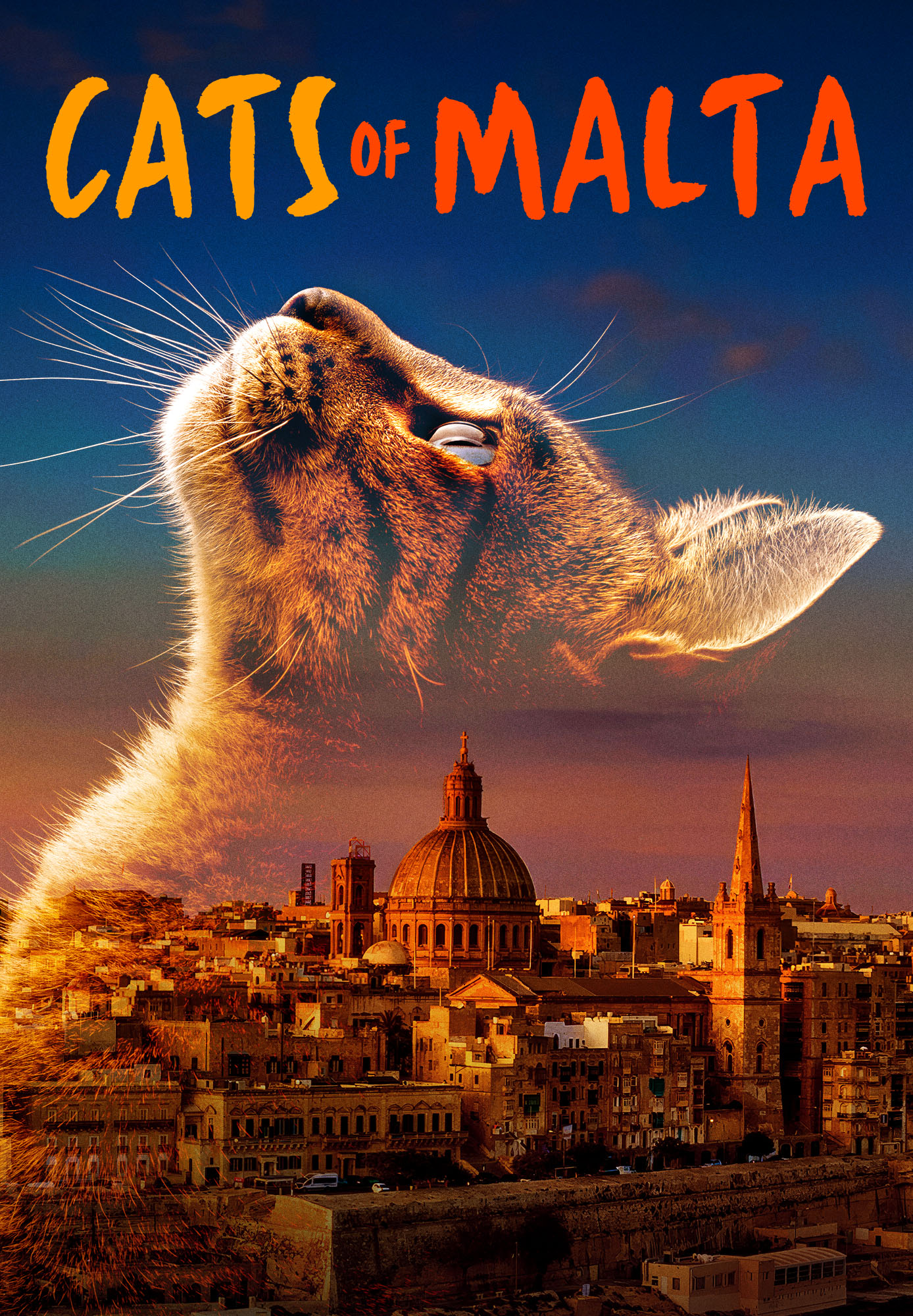 Cats of Malta