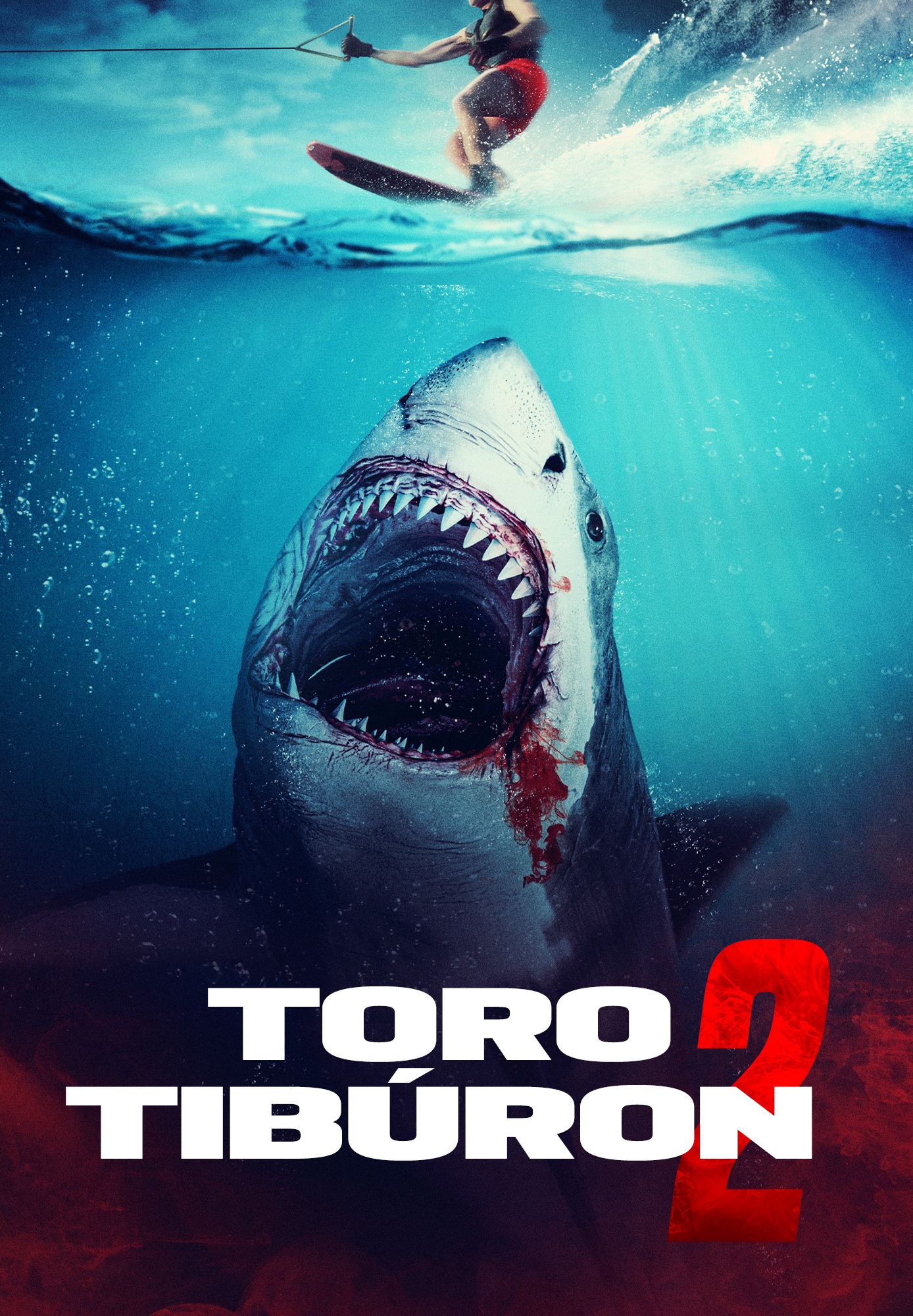 Tiburón toro 2