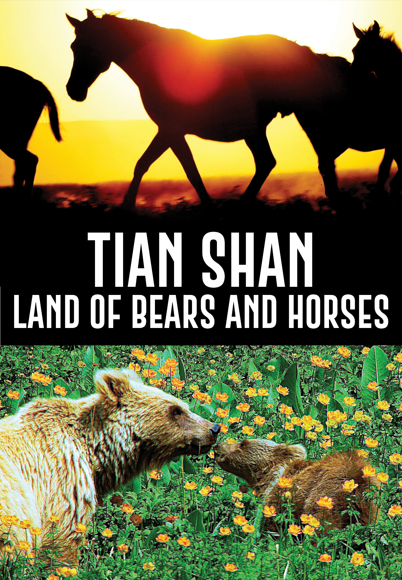 Tian Shan: Land Of Bears And Horses