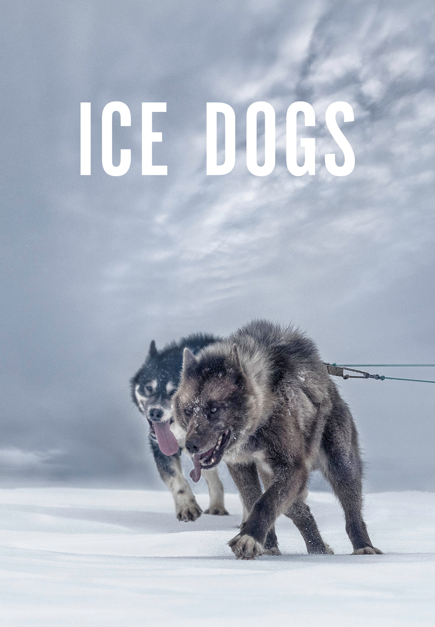 Ice Dogs