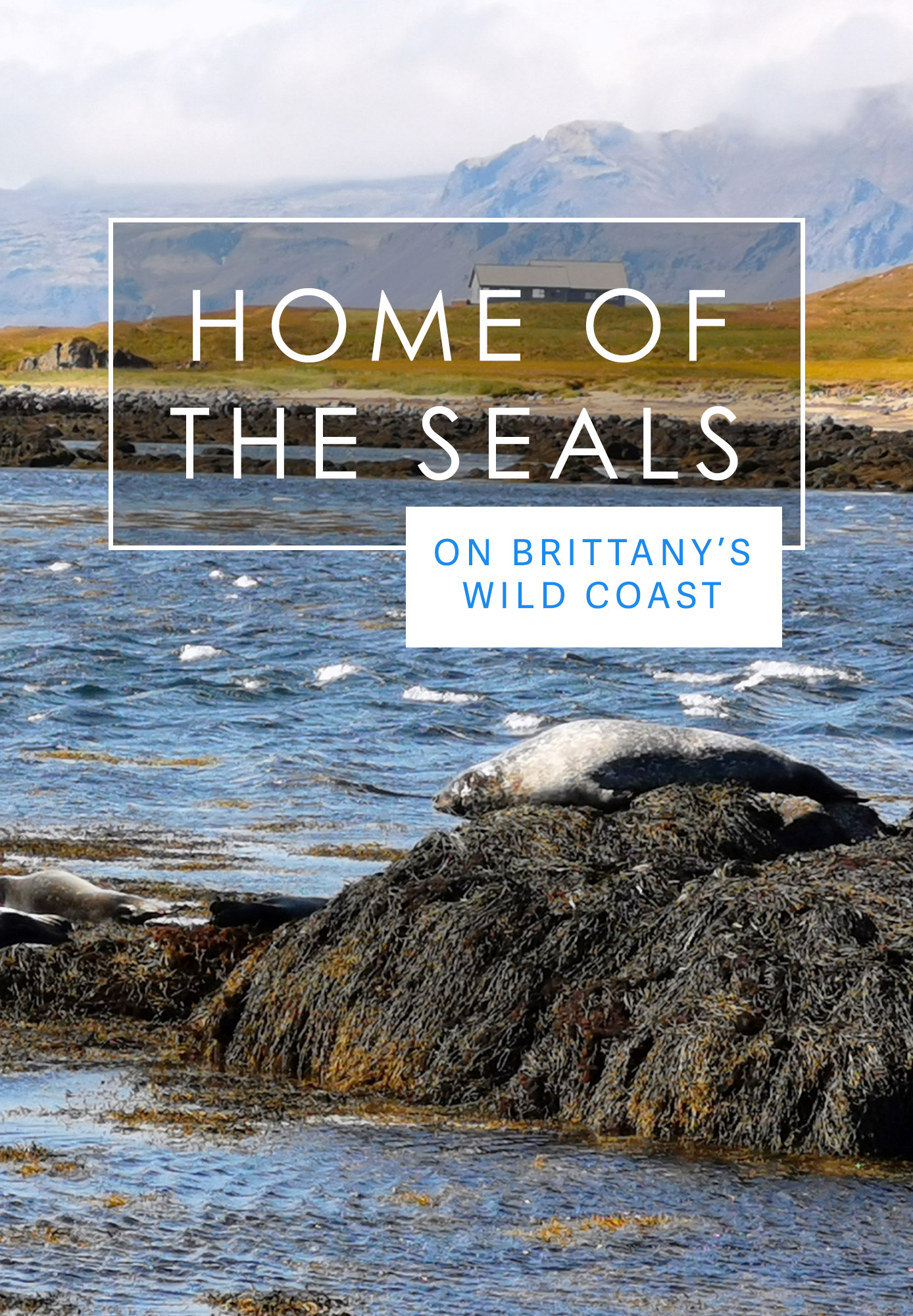 Home Of The Seals: On Brittany's Wild Coast