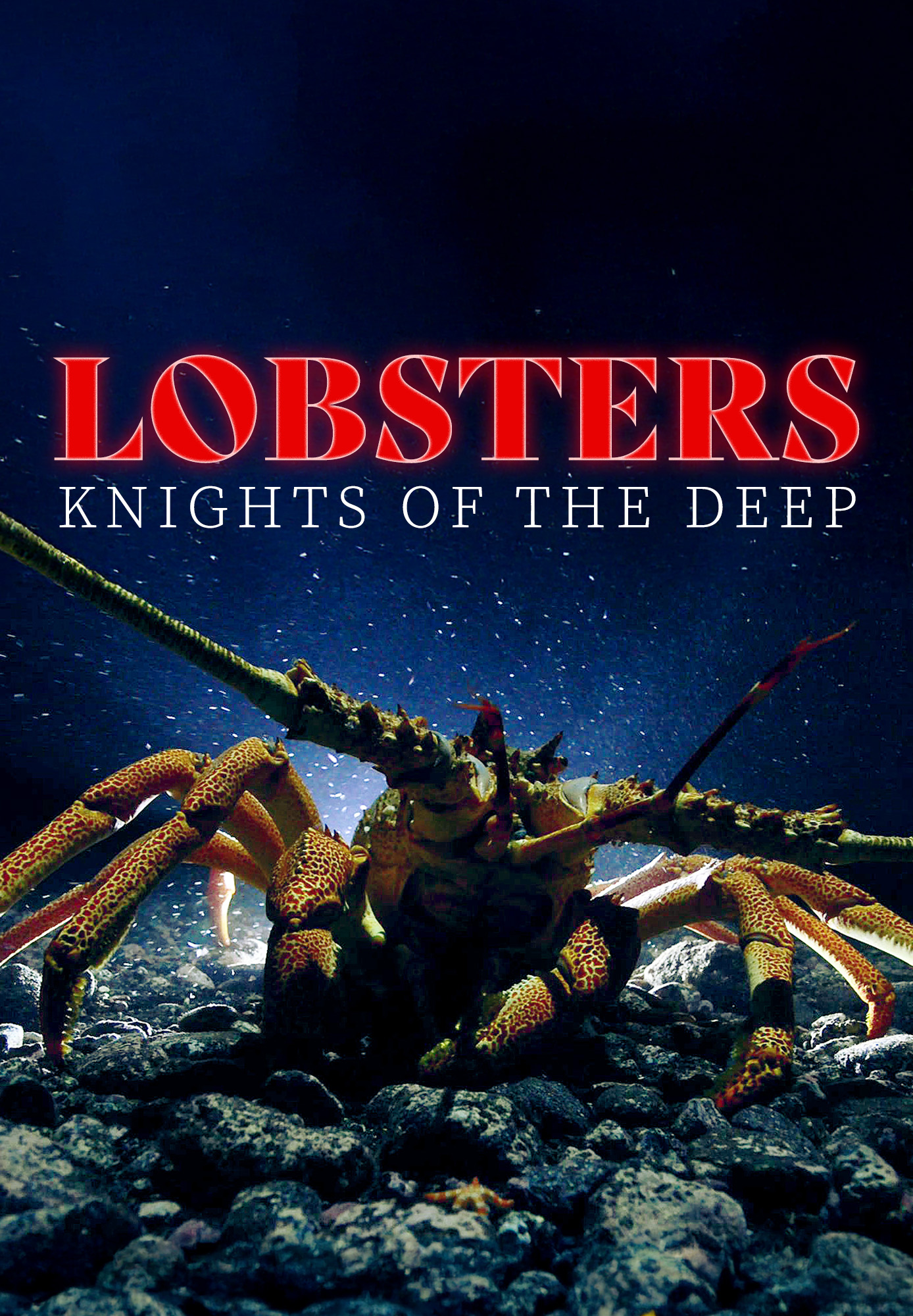 Lobsters - Knights Of The Deep