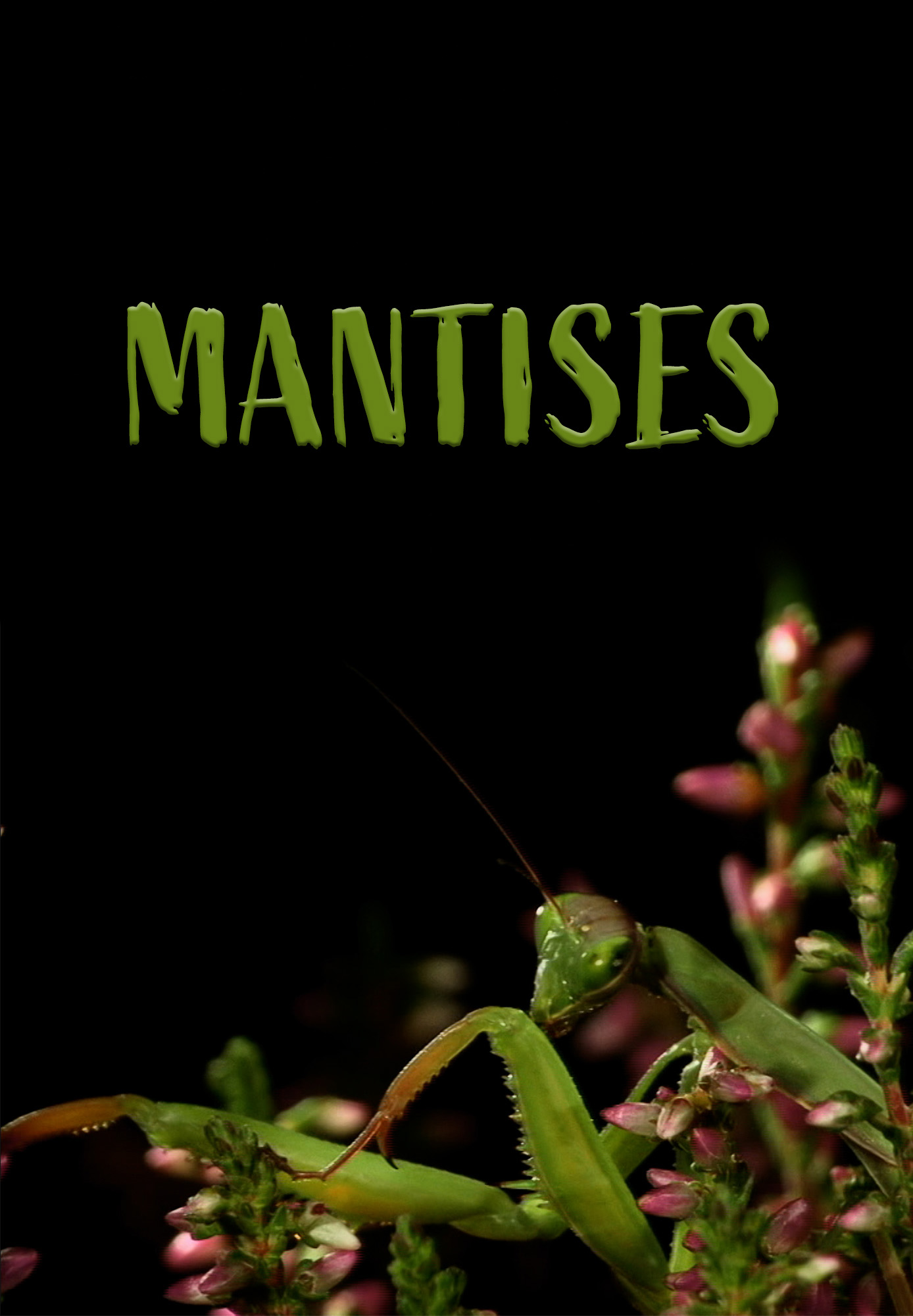 Mantises - Masters Of Deception