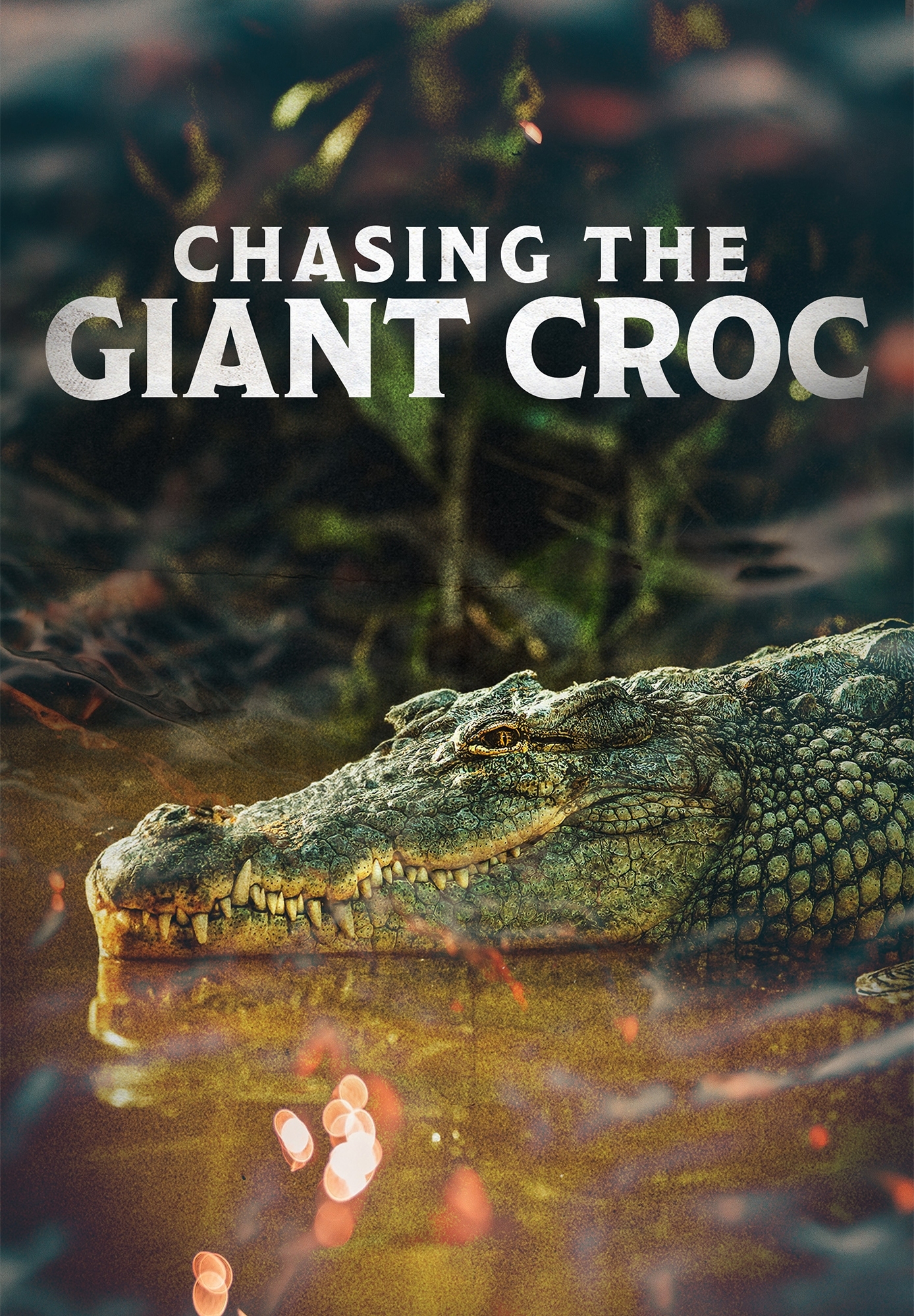 Chasing the Giant Croc