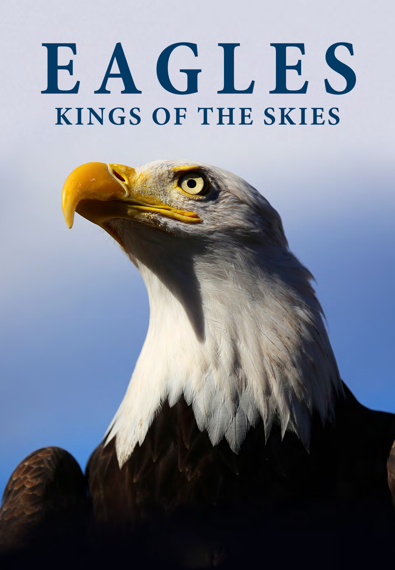 Eagles: Kings Of The Skies