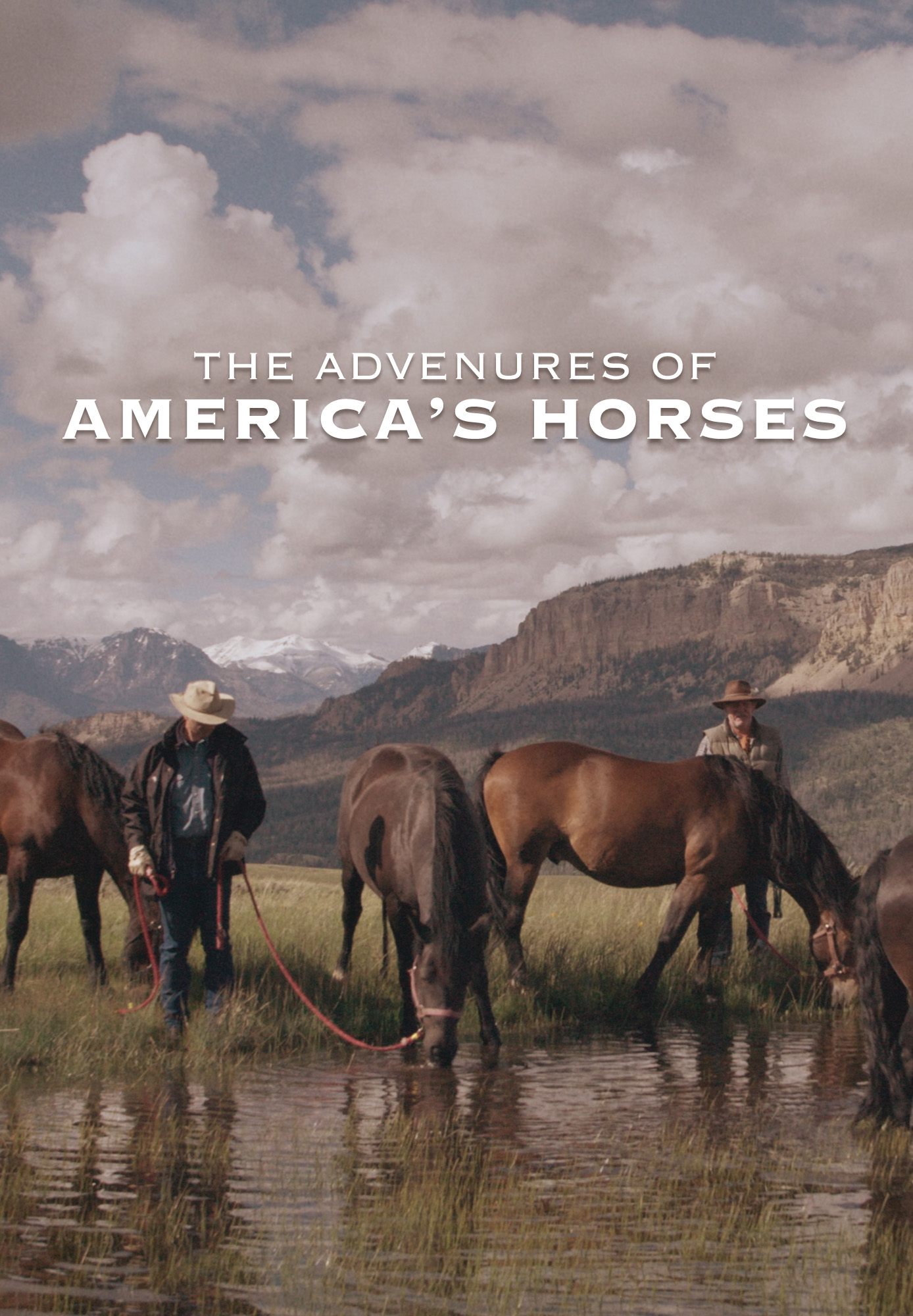 The Adventures of America's Horses