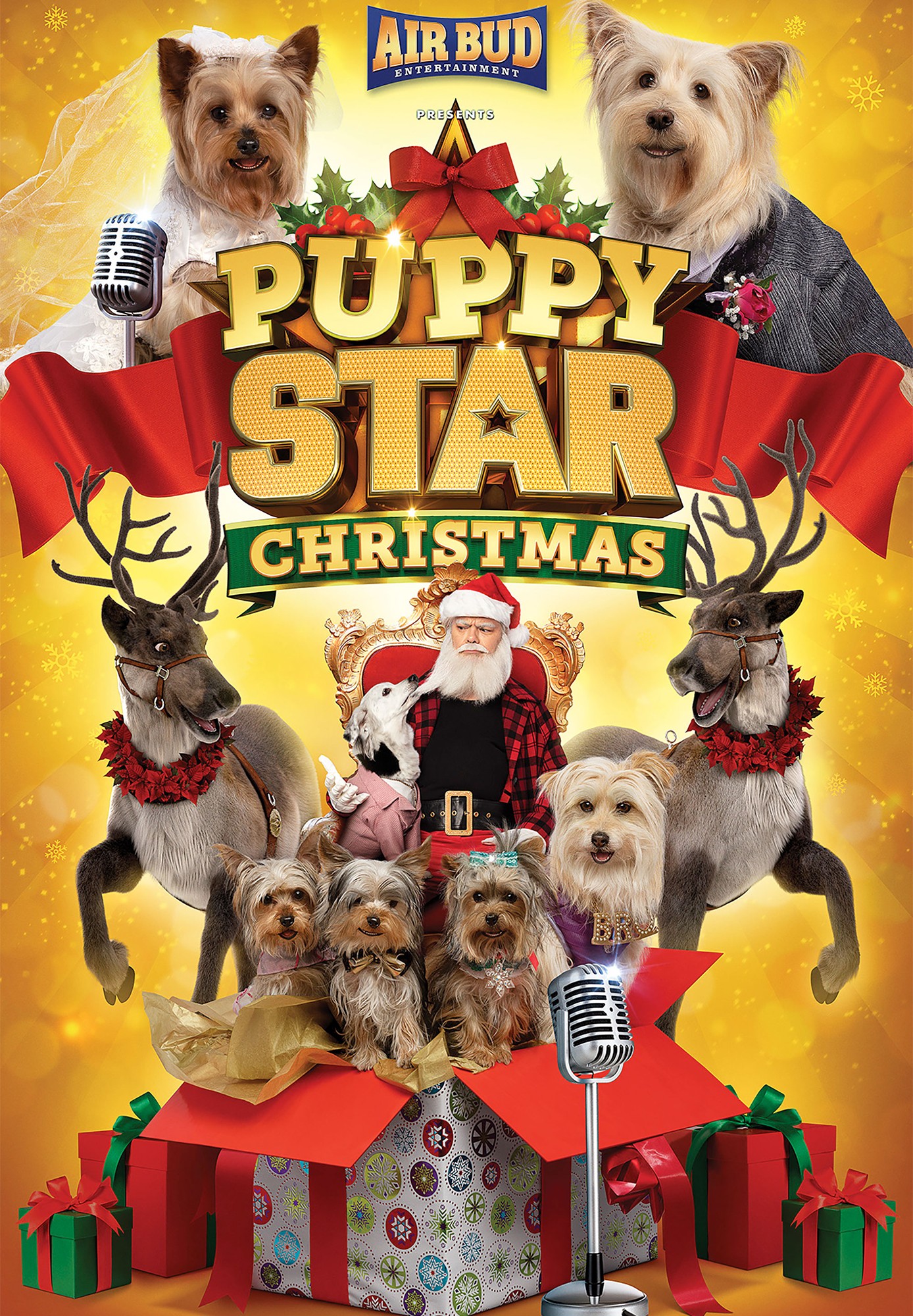 Puppy Star Christmas