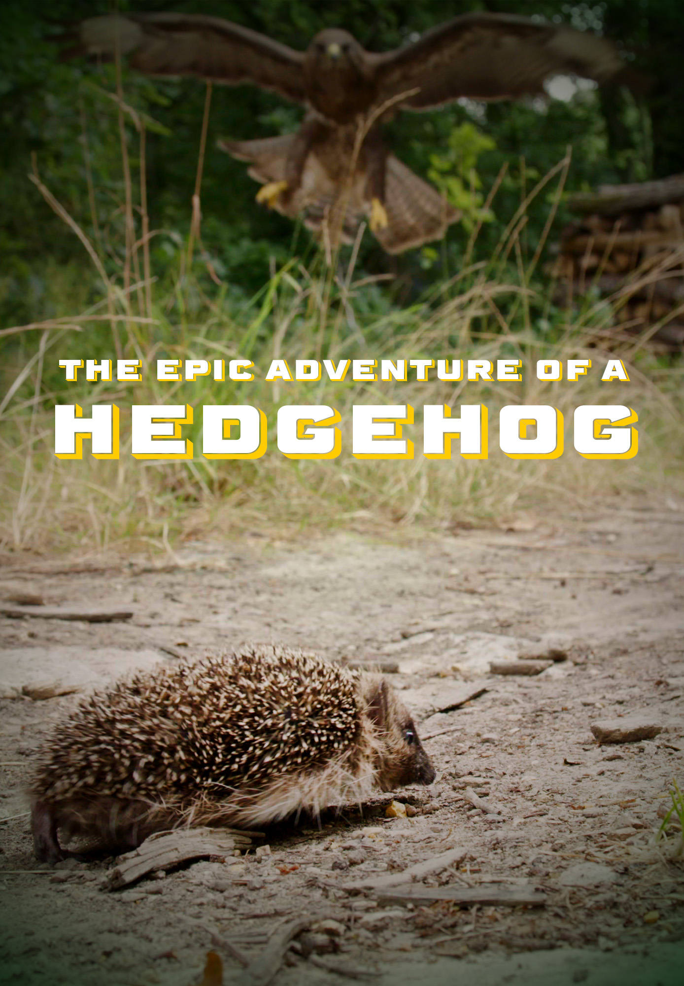 Epic Adventure Of A Hedgehog