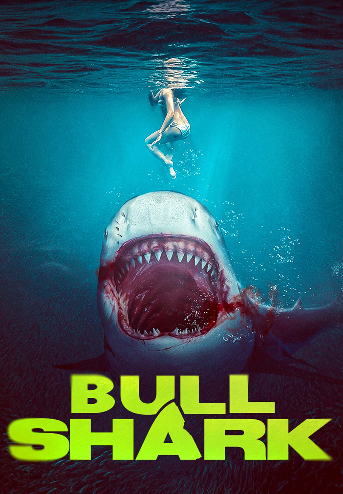 pochette du film Bull Shark