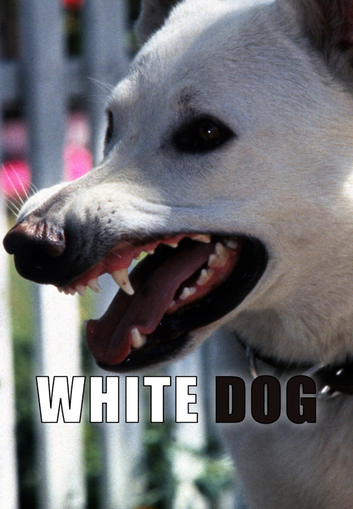 Cão Branco