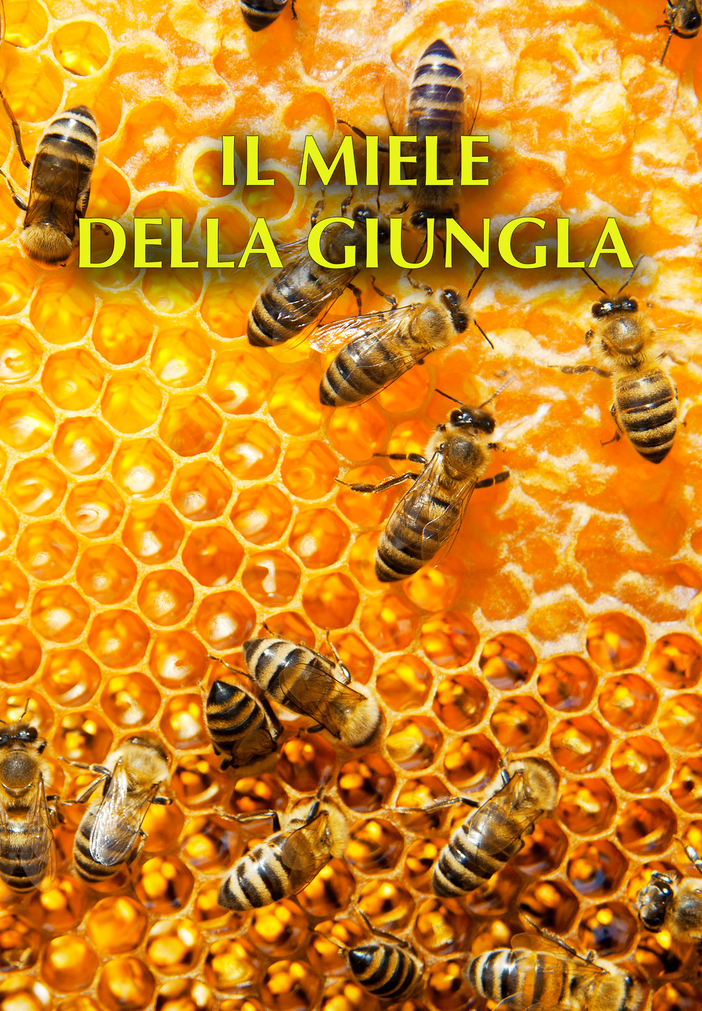 Il miele della giungla