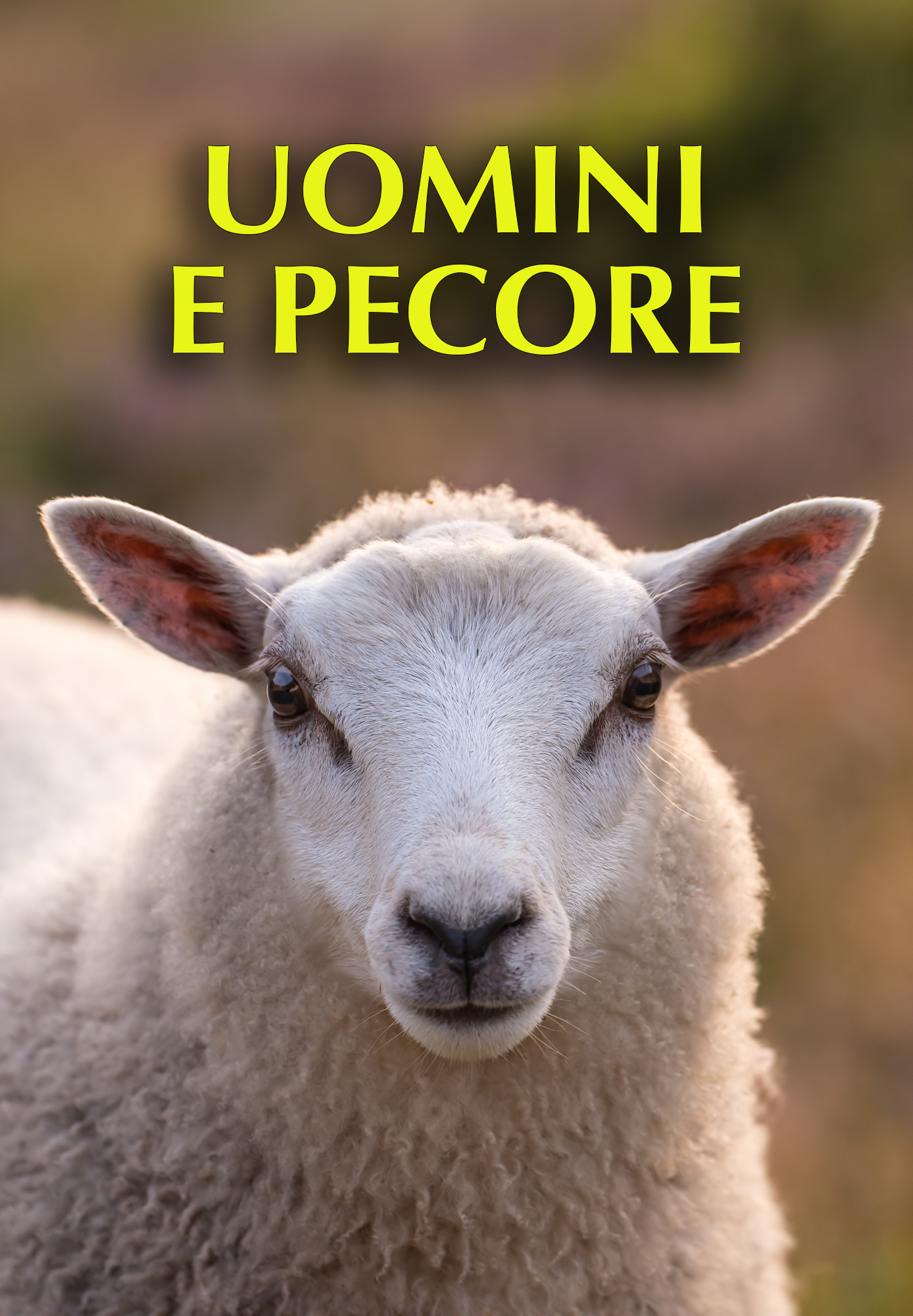 Uomini e pecore