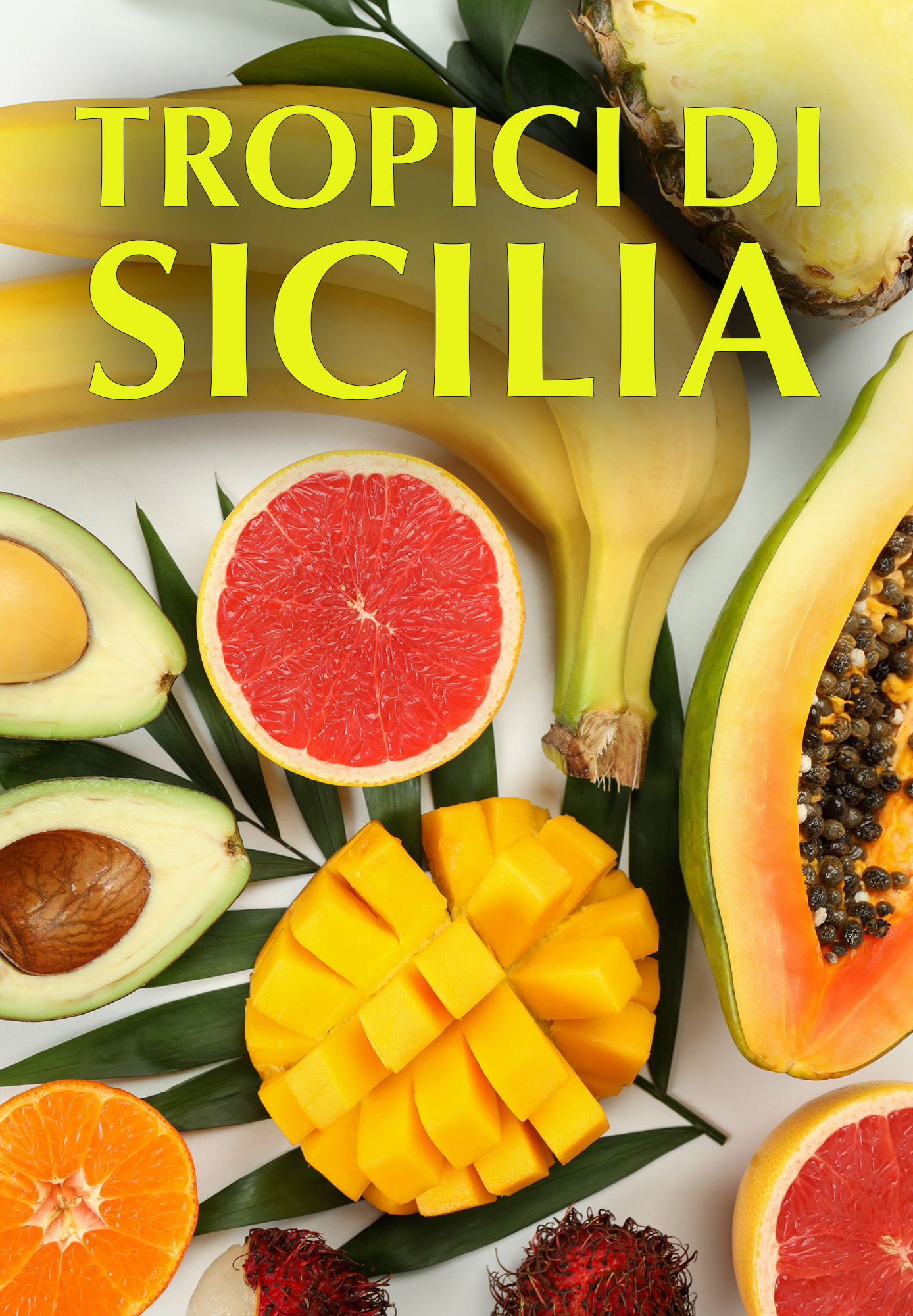 Tropici di Sicilia