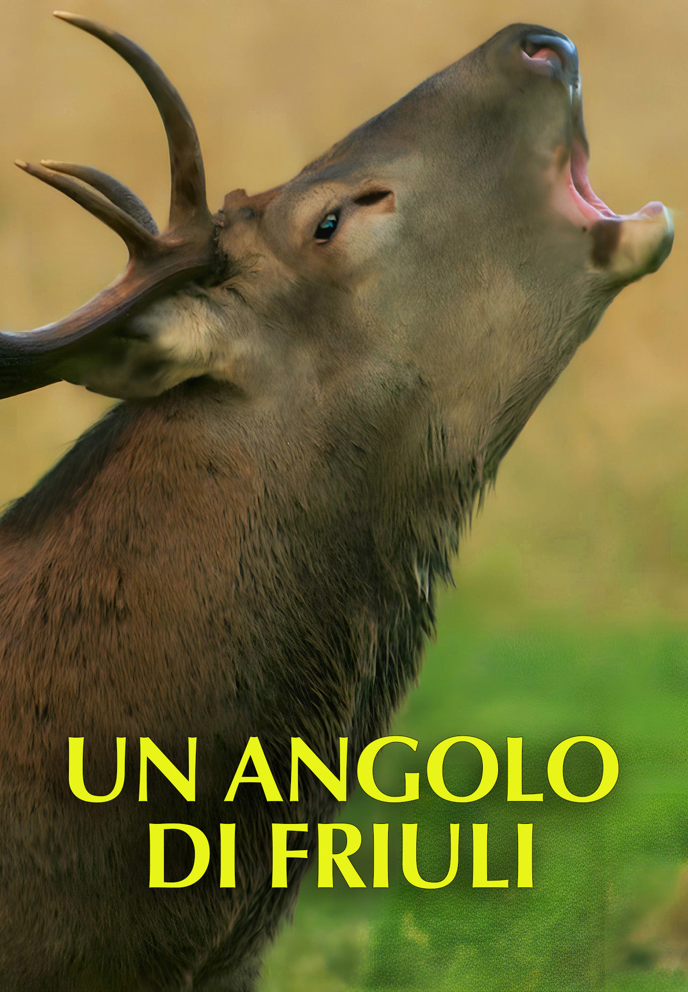 Un angolo di Friuli