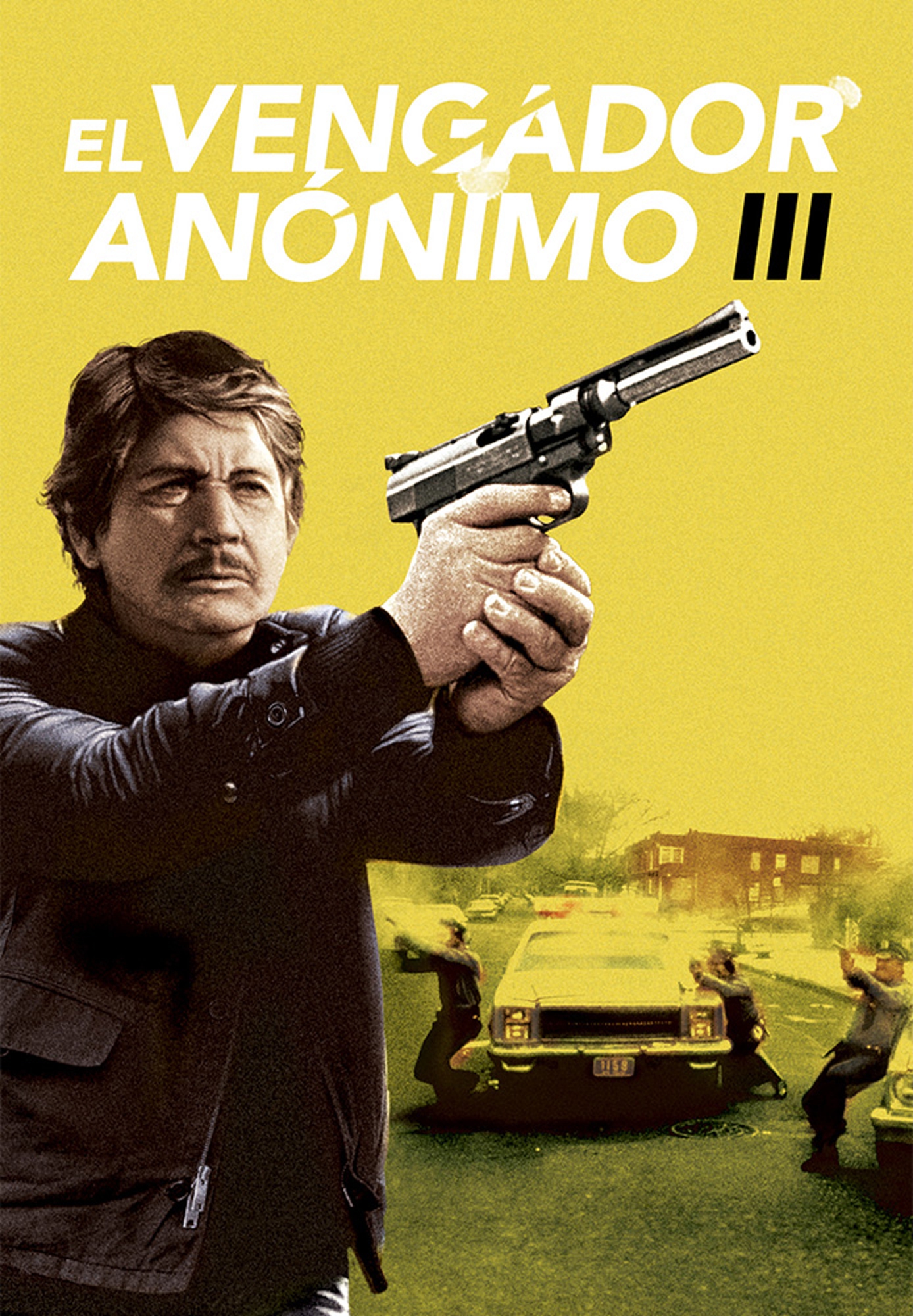 El vengador anónimo III