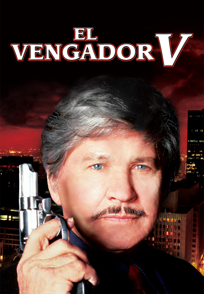 El justiciero de la ciudad V