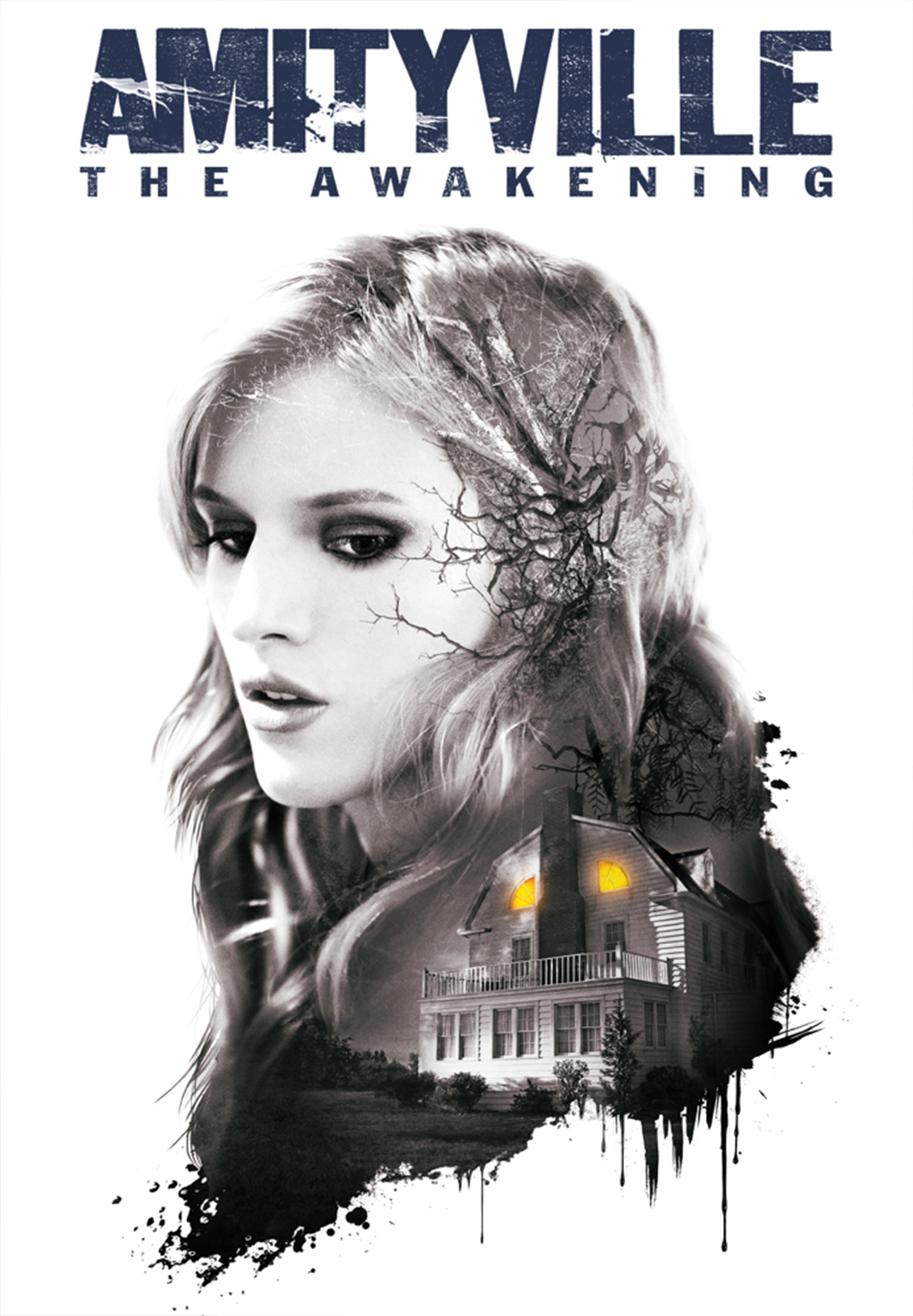 Amityville: The Awakening