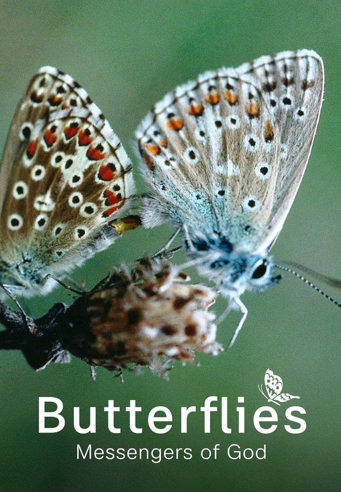 Butterflies - Messengers of God