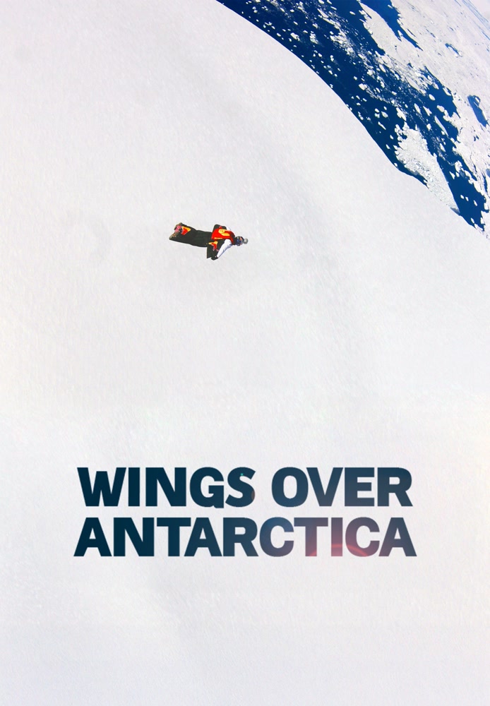 Wing over Antarctica