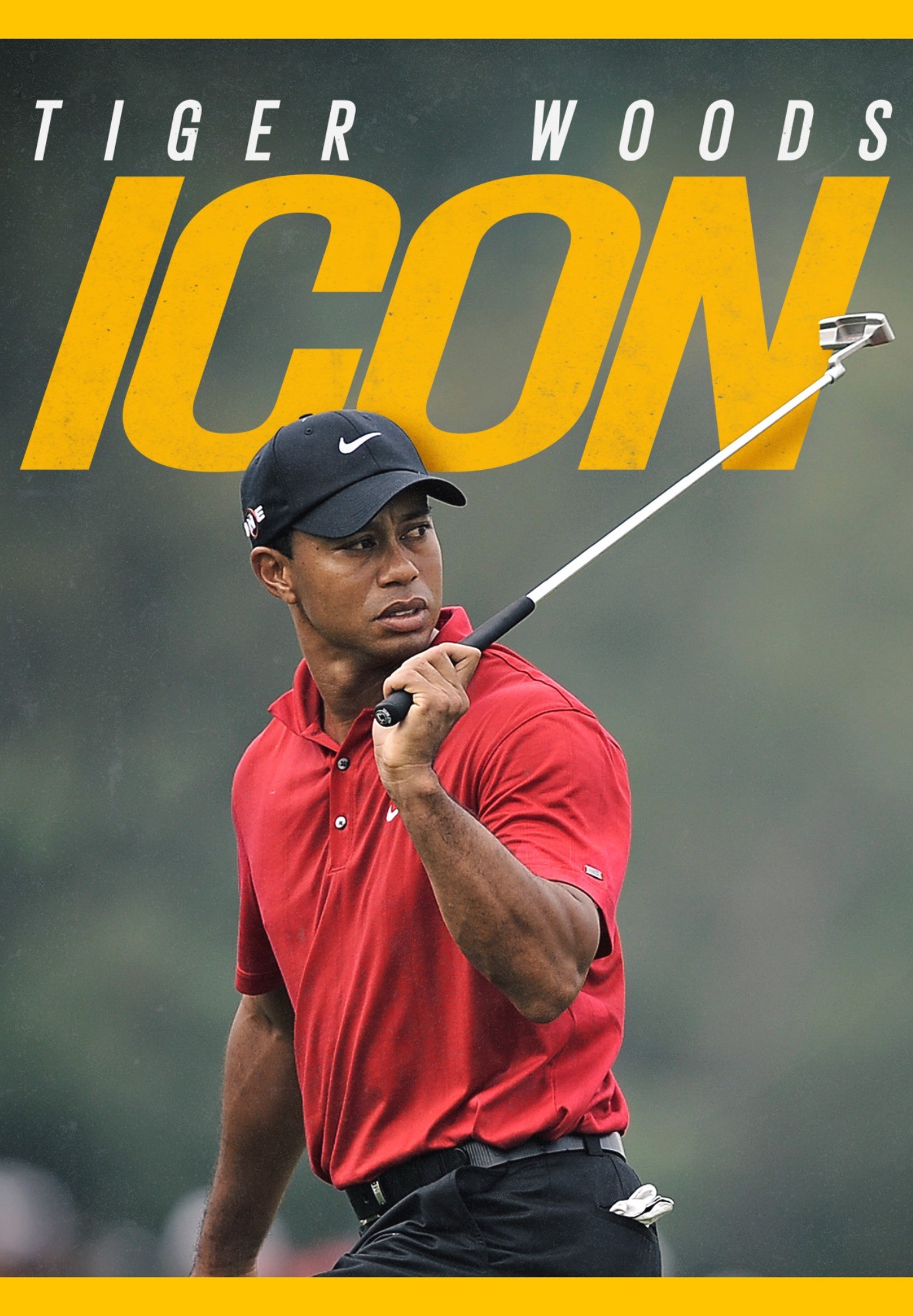 Tiger Woods: Icon