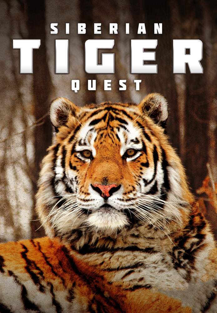 Siberian Tiger Quest