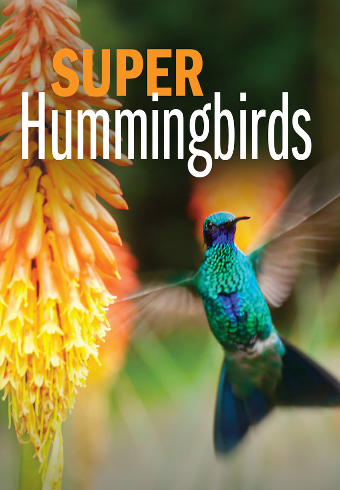 Super Hummingbirds