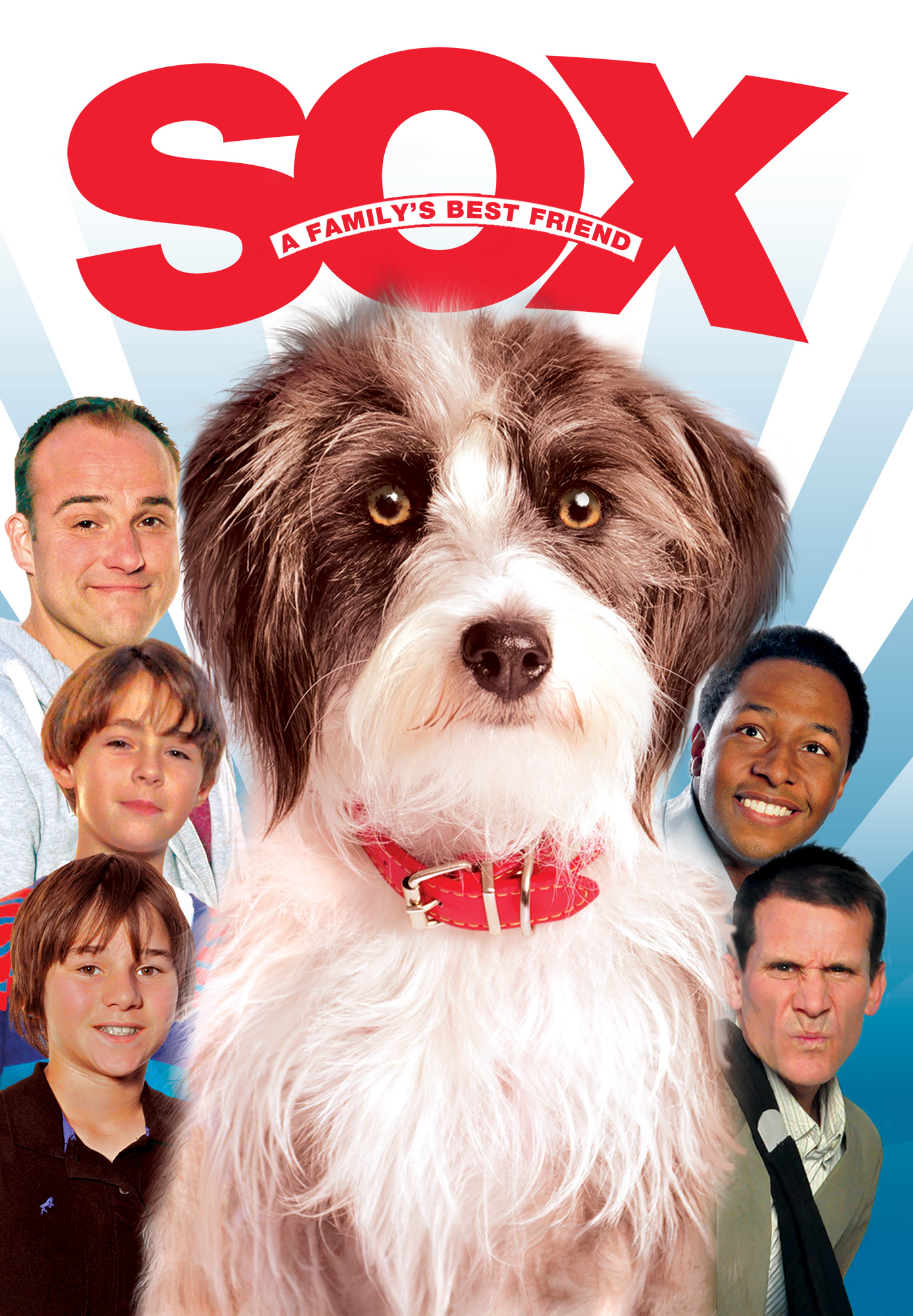Sox: A Family's Best Friend