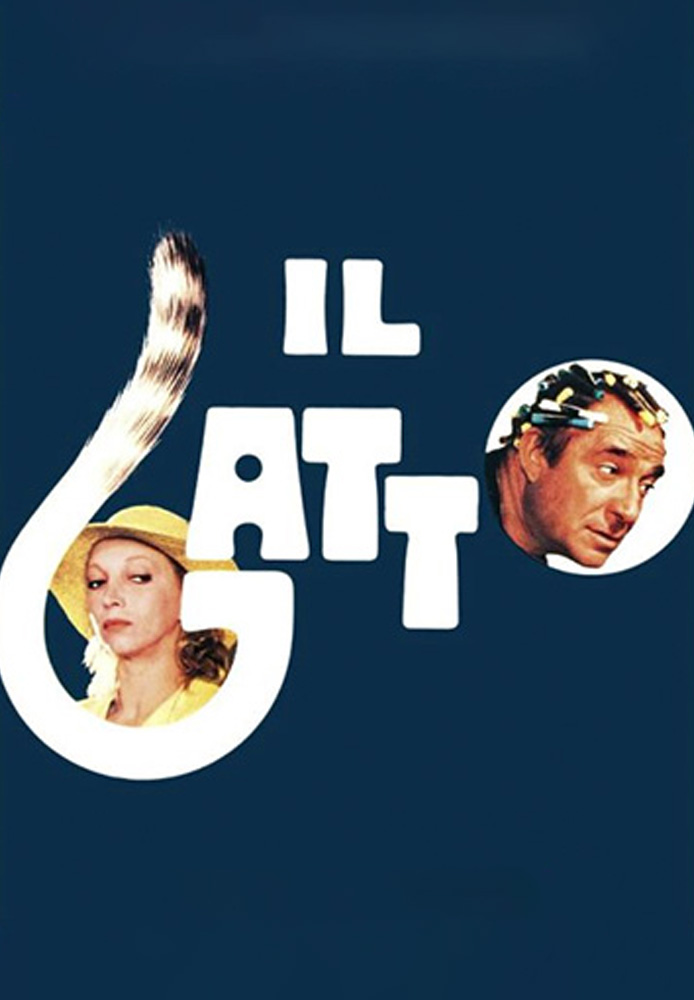 Immagine di Il gatto