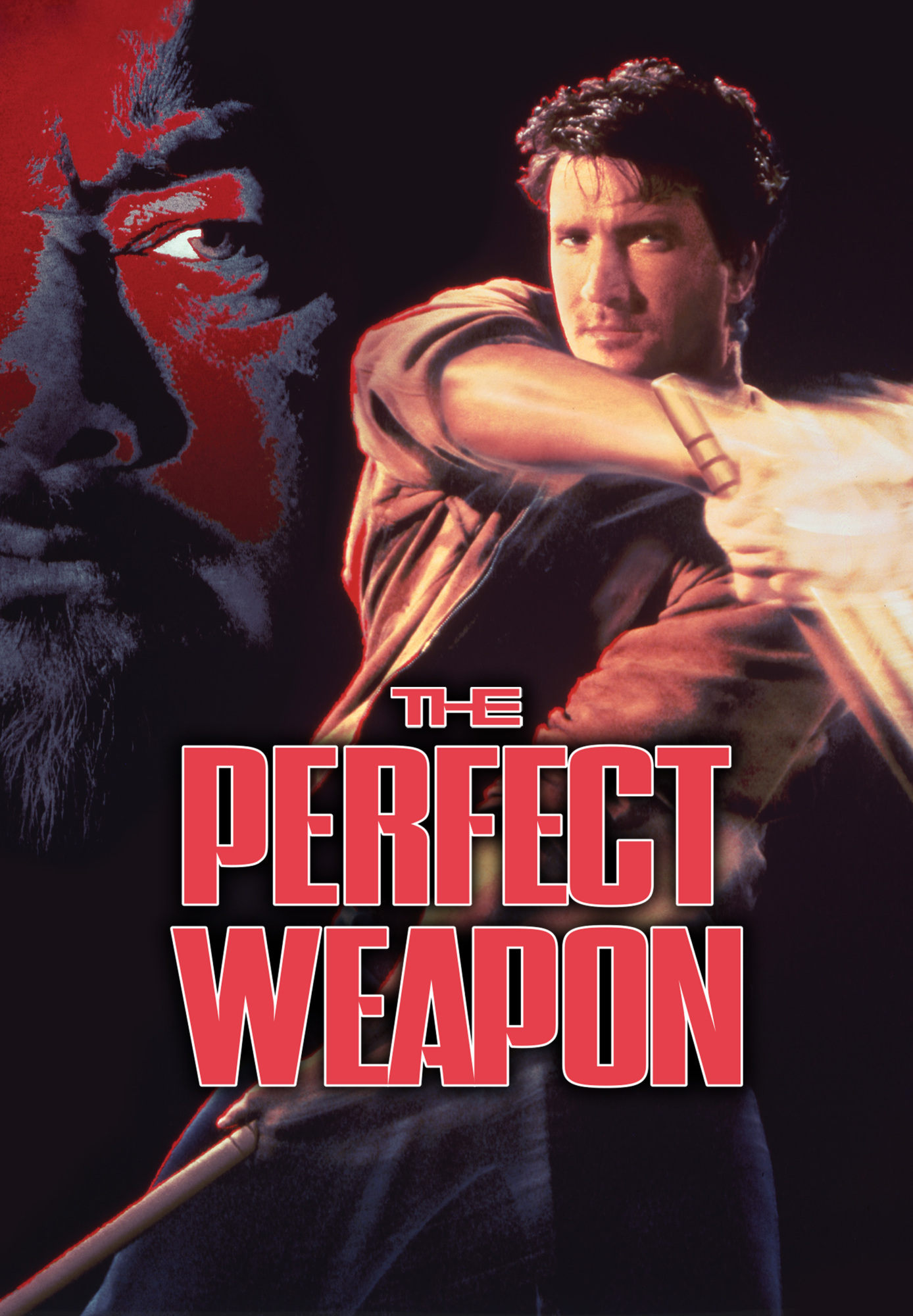 The Perfect Weapon
