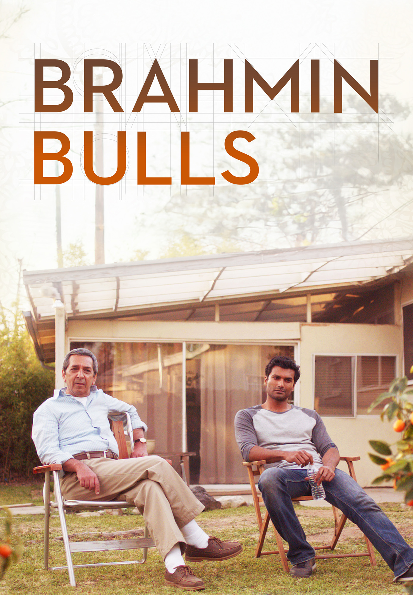 Brahmin Bulls
