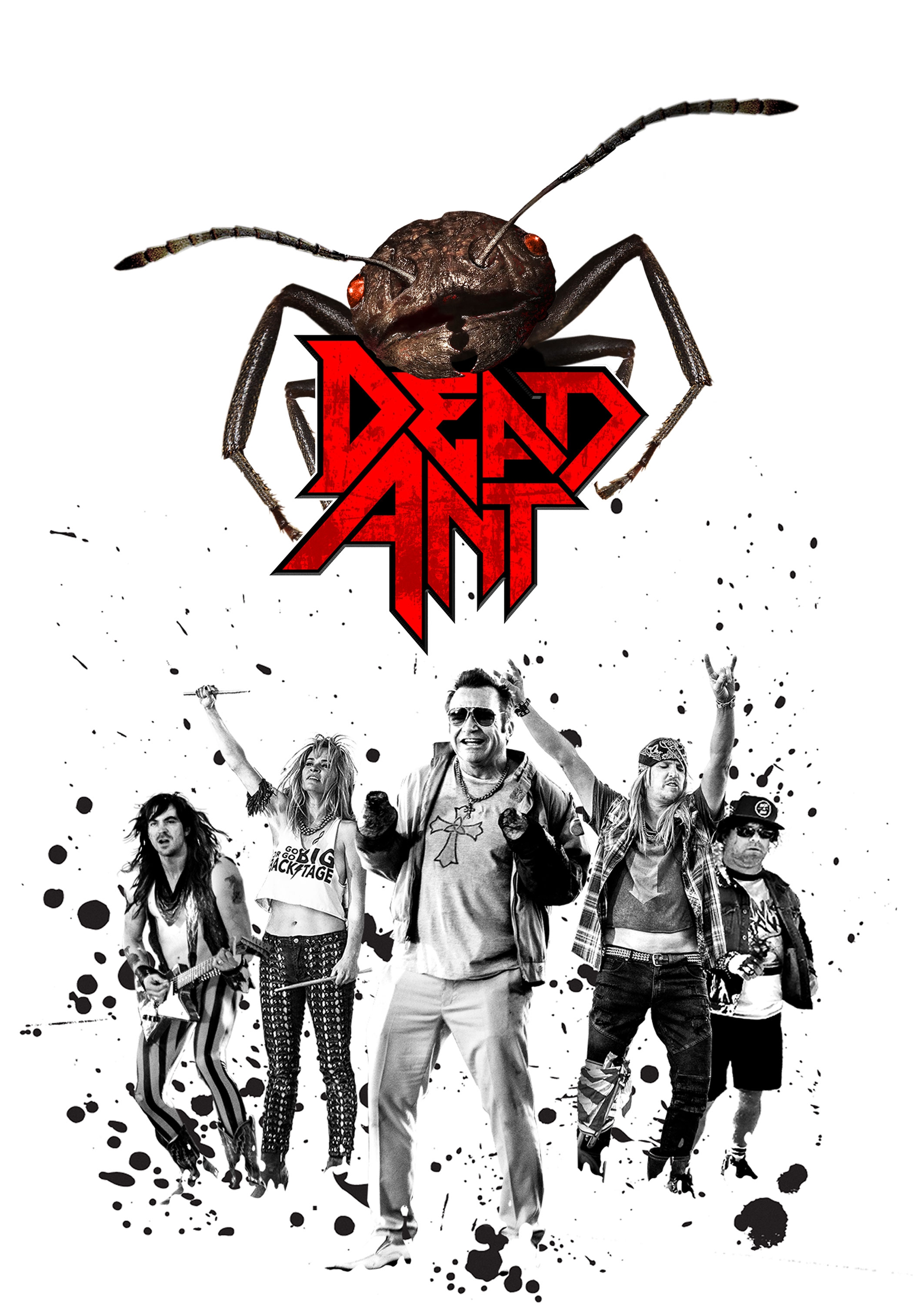 Dead Ant