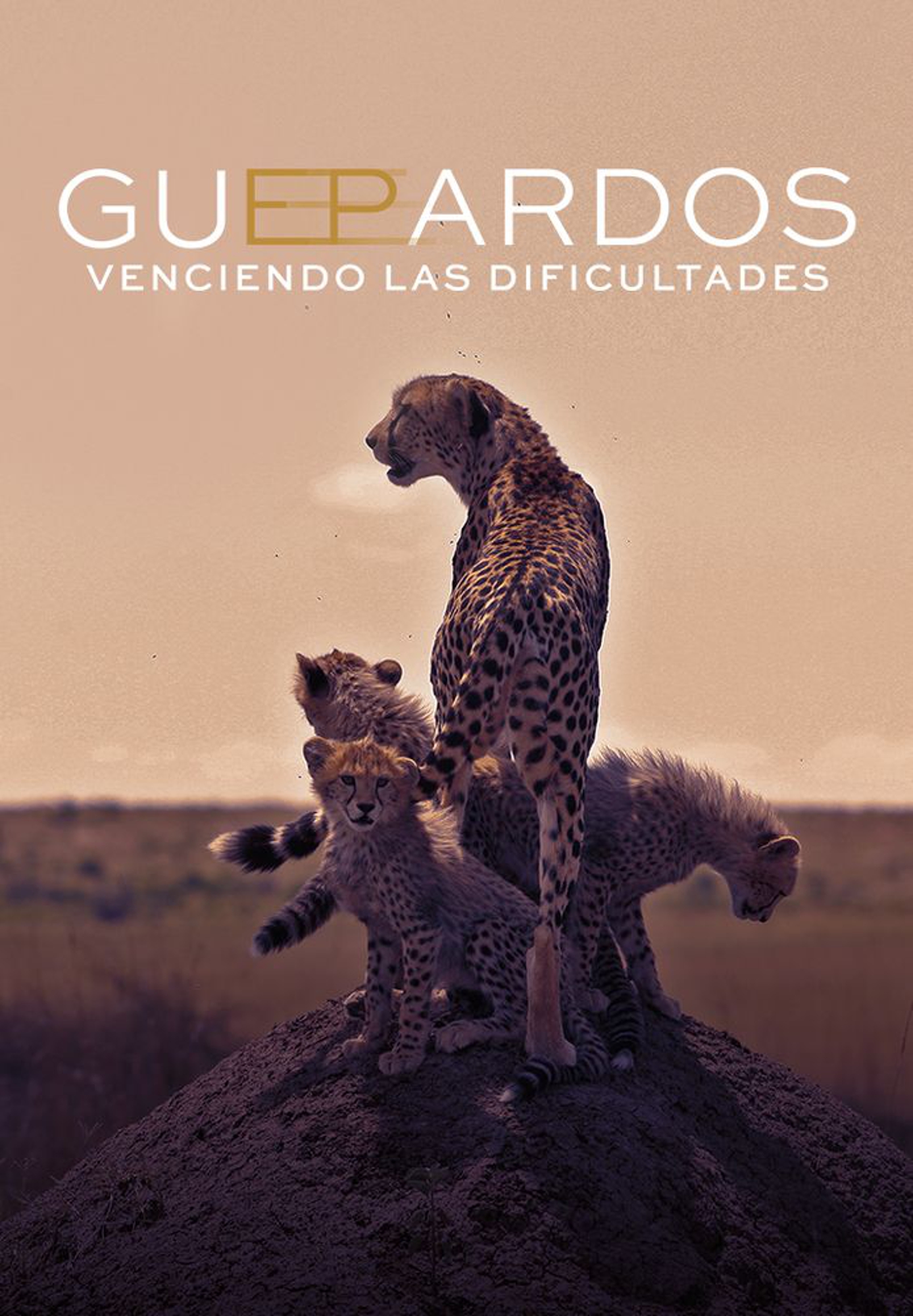 El guepardo: Desafiando las probabilidades