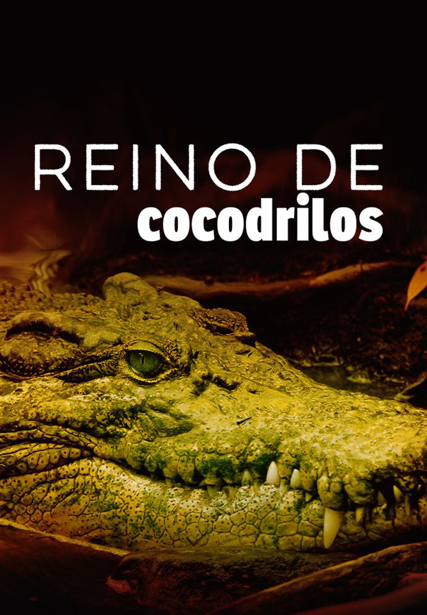 Reino de cocodrilos