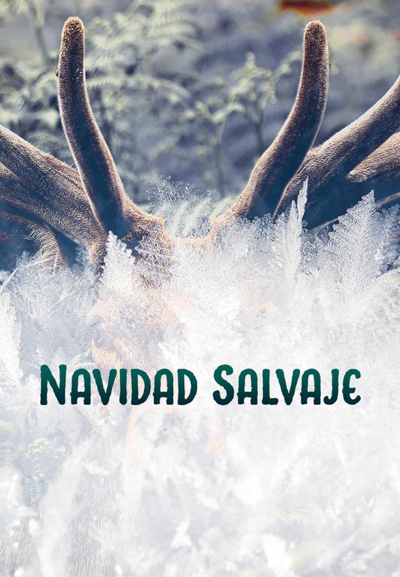 Navidad Salvaje