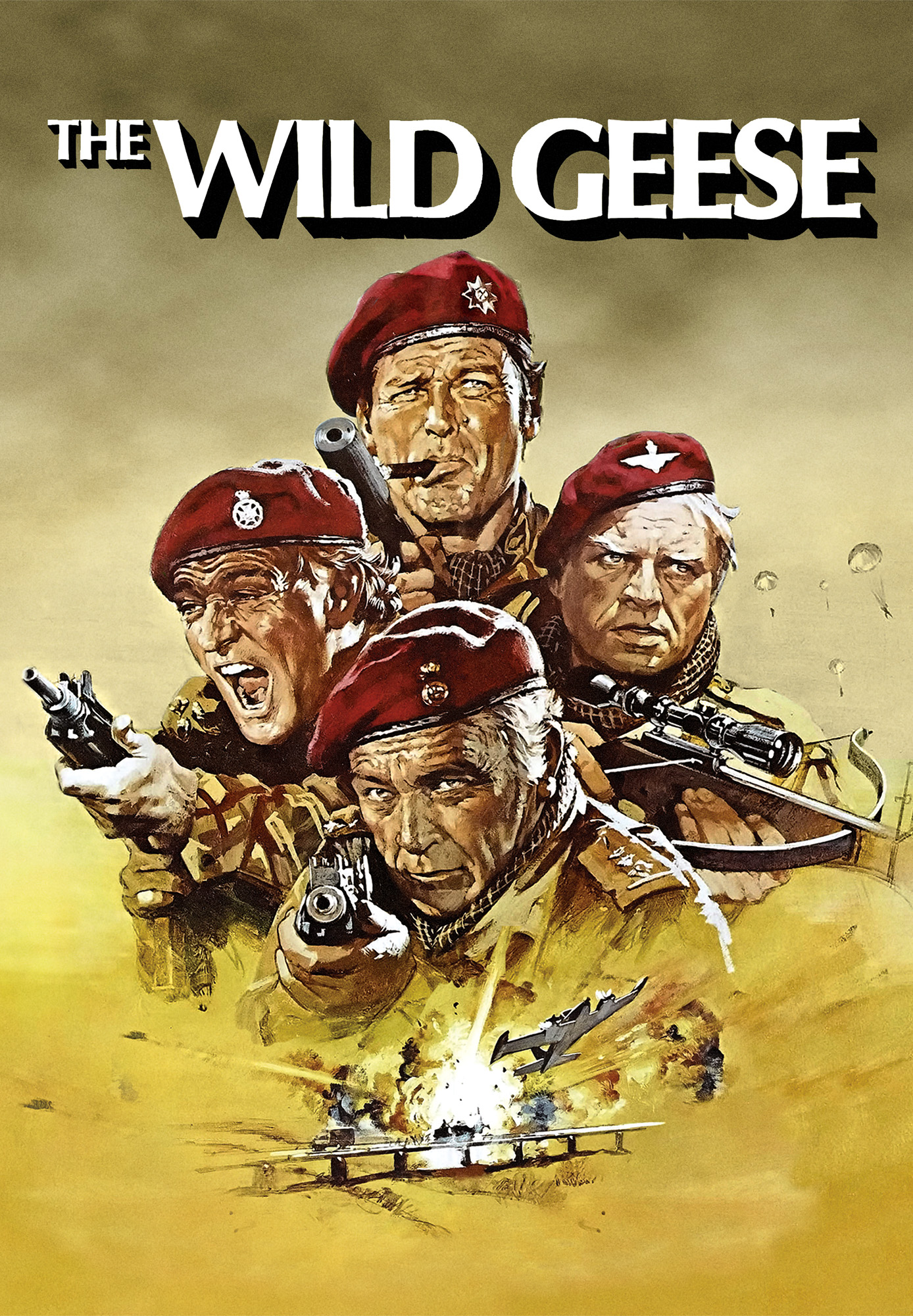 Wild Geese