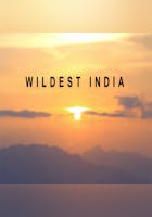 Wildest India