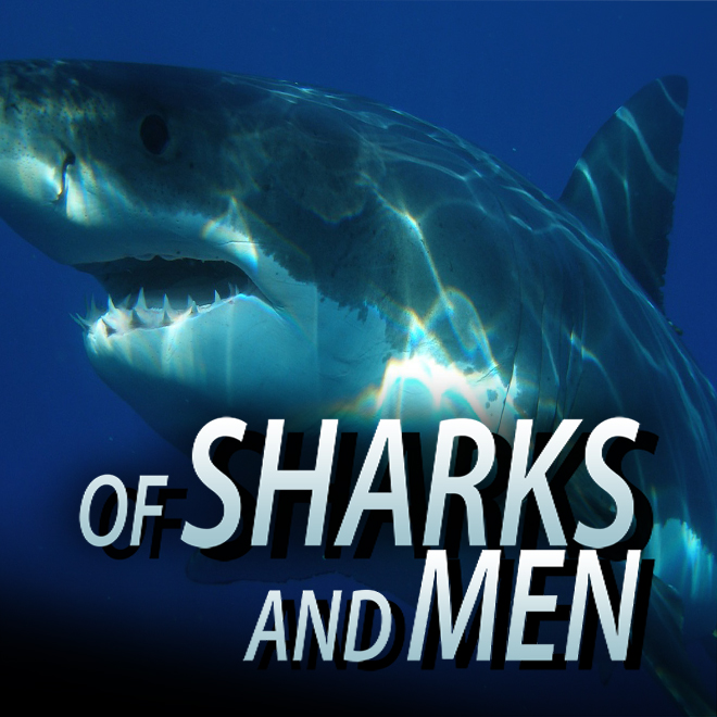 Of Sharks and Men