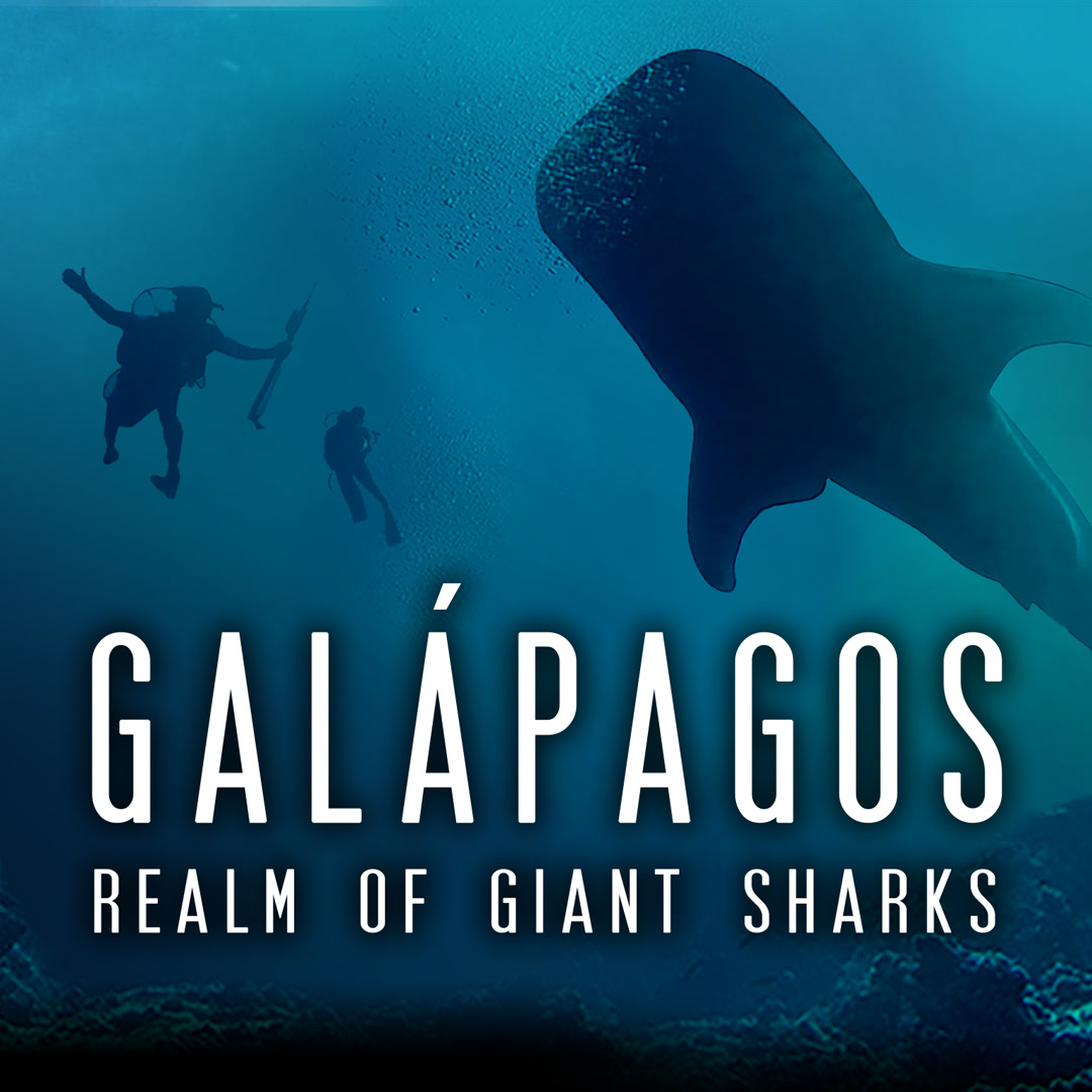 Galapagos Realm of Giant Sharks (2014)