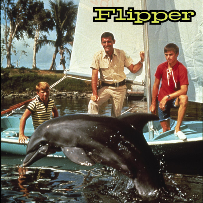 Flipper