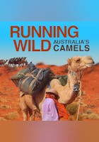 Running Wild: Australia's Camels