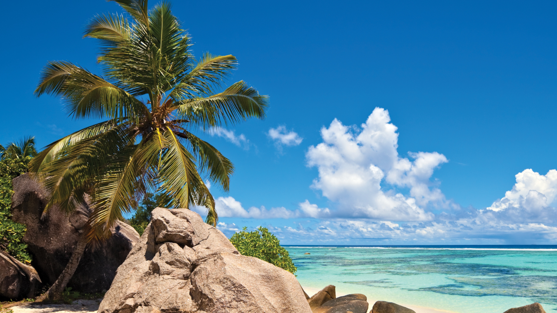 Green Paradise Watch Free on Pluto TV United States