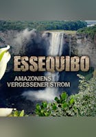 Zu den Quellen des Essequibo